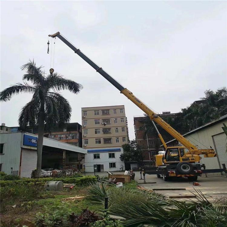 新华镇汽车吊出租多少钱？全面解析与市场行情