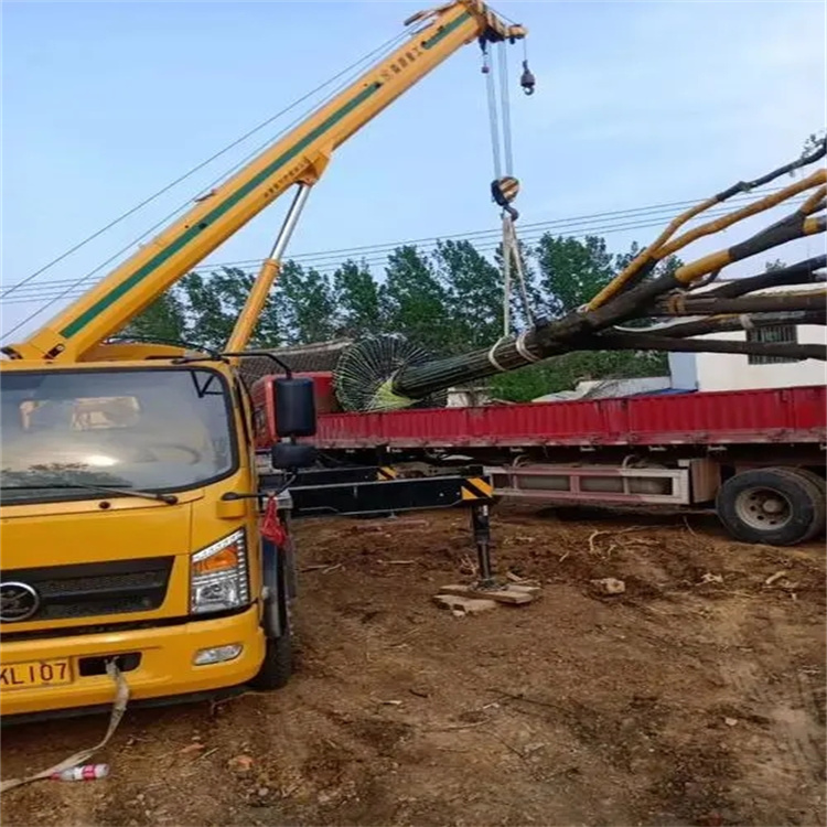 新华镇100吨吊车租赁费用怎么算？3大关键因素+省钱技巧全解析